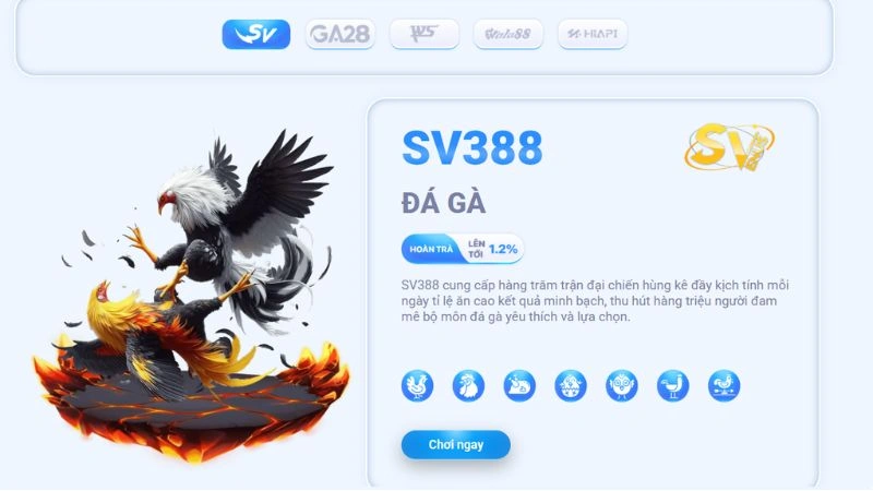 Các sảnh đá gà phổ biến tại RR88