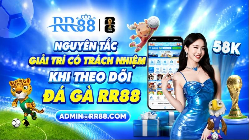 Nguyên Tắc Giải Trí Có Trách Nhiệm Khi Theo Dõi Đá Gà RR88
